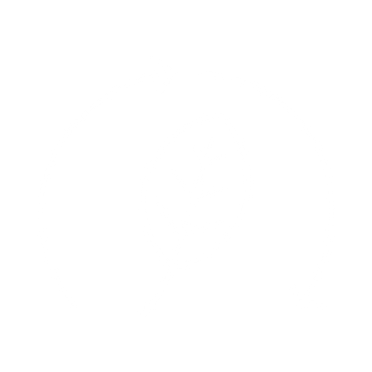 Boho Basement icon for their brand value: environmentally sustainable fashion and streetwear. The icon represents a leaf with two arrows that appear to be rotating in a circle surrounding the leaf..
