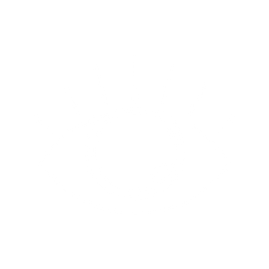 Boho Basement icon for their brand value: transparency. The icon represents an eye.
