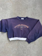 Vintage Broncos crop